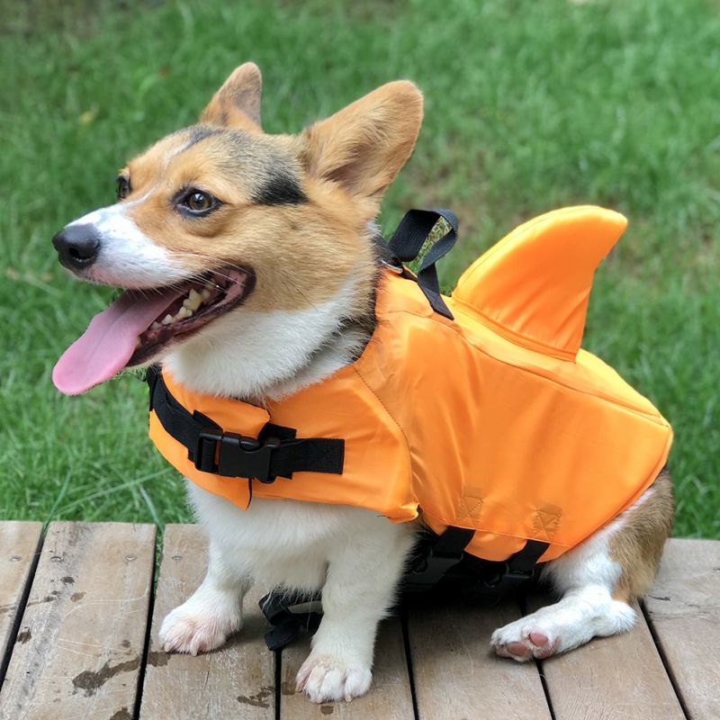orange neoprene dog vest