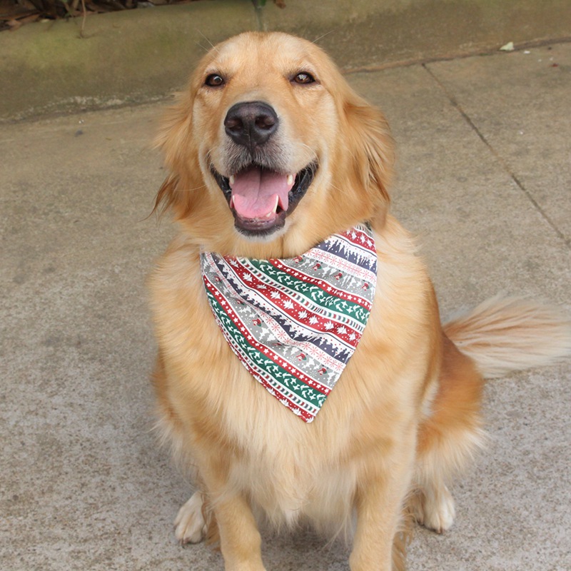 dog themed scarves