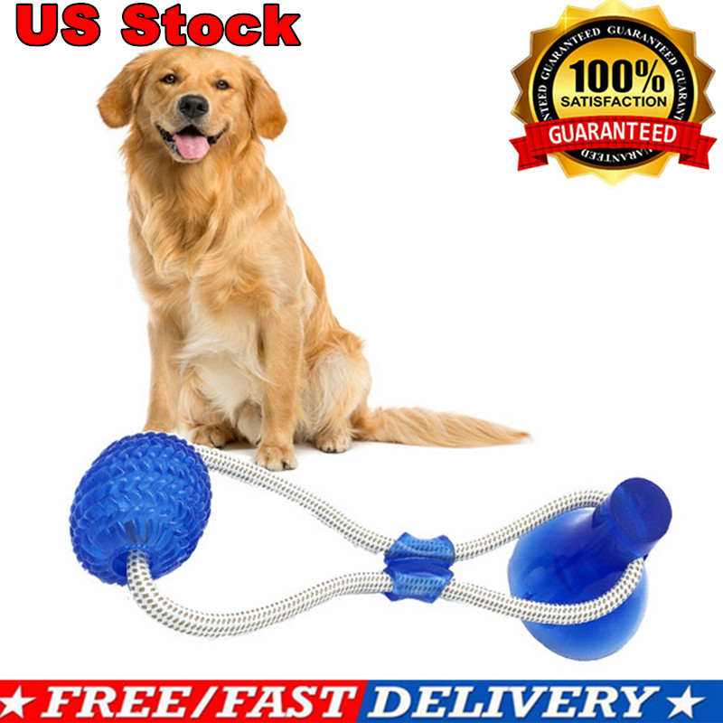 Dog Floor Suction Cup Toy with Ball